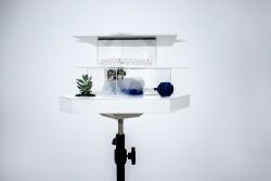 Self-Cleaning Houses