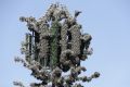 Thumbnail for version as of 06:30, 20 July 2026